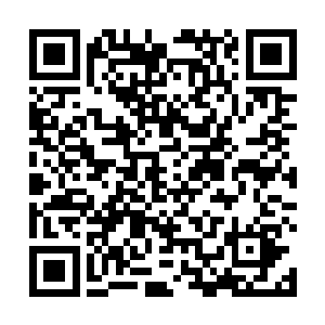 他和往常一样正在专注地修改虚拟灵魂计算单元的时候二维码生成