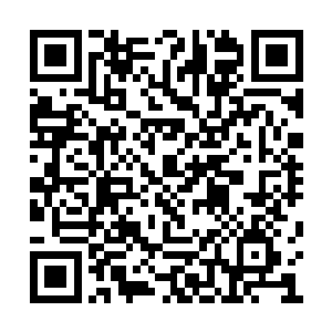 他和神宫的那两具一模一样的尸身又有什么联系二维码生成