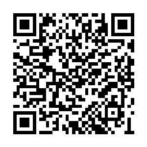 他和雷林虽然这次都在遗迹当中获得了一些东西二维码生成