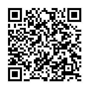 他在整个第一院所有白衣弟子眼中只是一个无名小子而已二维码生成