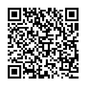 他在没有系统提示的前提下都自己摸索出了寄虫装甲的使用方法二维码生成