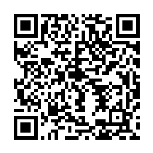 他坐在地上用细微的灵气重新模拟构建自己的所有攻击招式二维码生成