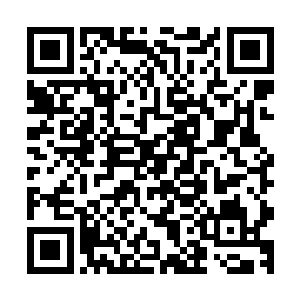 他堂堂神阵山的首席大弟子居然输给了天灵山的一个白衣弟子二维码生成