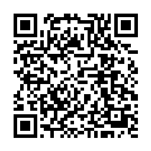 他好几次还想趁叶温柔不备的时候亲吻过去――事实证明二维码生成