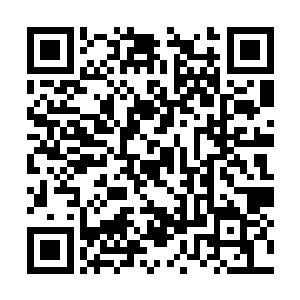 他好歹也是打进第一季巅峰争霸五十强的实力选手二维码生成