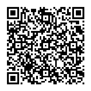 他完全想不明白这个大块头是怎么突然出现在他的身前却没有触动任何警戒装置的二维码生成