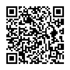 他完全无法理解唐劫到底在他身体里打进了什么东西二维码生成