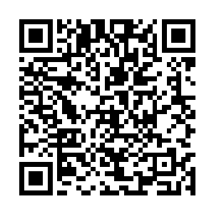 他就从宁碎碎的手上抢下秦洛的袍子往远处丢过去二维码生成