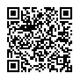 他就可以肆无忌惮的利用双手去清扫这地面上扑向他的毒蛇二维码生成