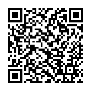他就怀疑可能是南都市的那些地下势力跑到禄州市去了二维码生成
