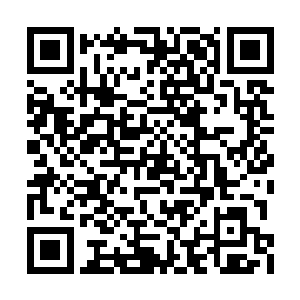 他就是不吃不喝在外挣一年的钱也凑不齐这个数二维码生成