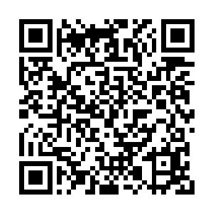 他就算是对我有所企图也不用下这么大的成本吧二维码生成