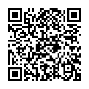 他就这样结结实实的一枪轰击在了原本就残破了的九星道图上二维码生成