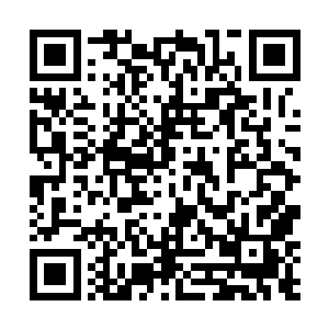 他已经在这里任劳任怨的做君小公子的老师两个多月了二维码生成