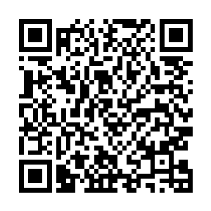 他已经将所有的元气都用在对抗异世界巨大的撞击之力中二维码生成