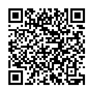 他已经很久部没有遇到过拒绝他送出的东西的人了二维码生成