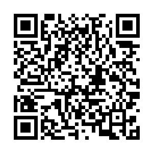 他已经快要被这恐怖的天道威压压得喘不过气来了二维码生成