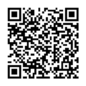 他已经成功的将冰火珠子封印于苏柔和苏美的体内二维码生成