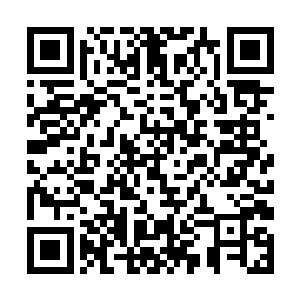 他已经把雷天和反一元宗联盟的事情都告诉了一元宗二维码生成