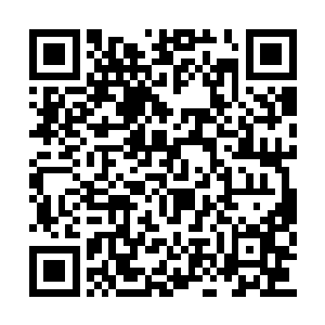 他很干脆的拧断了一只有着黑色羽毛的鸟的脖子二维码生成