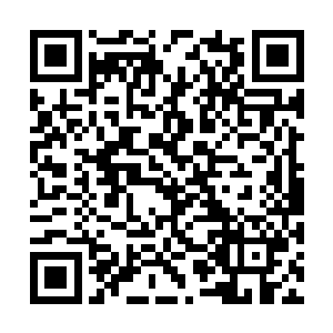 他心有余悸地对帮自己擦屁股的朴智星道谢和致歉二维码生成