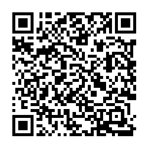 他忽然就看到了当初面对戒断反应时也绝对不愿意妥协的雨果一兰开斯特二维码生成