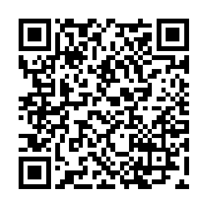 他忽然感到自己刚才的一番苦心破口刚刚起点作用二维码生成