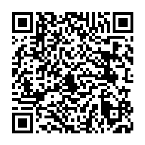 他怎么也没有想到已经达到神帝中期的二长老竟然会栽在了风翔宇的手中二维码生成