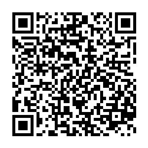 他想不起在意大利还有谁的电话能让马里奥这样的大人物如此重视二维码生成