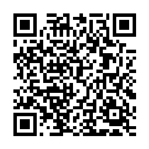 他或许没有预计到夜瞳已经成长到可以勉强挡住他一击的地步二维码生成