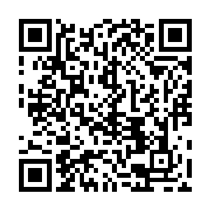 他所坚信的常理已经完全无法解释今天他亲眼所见的东西二维码生成