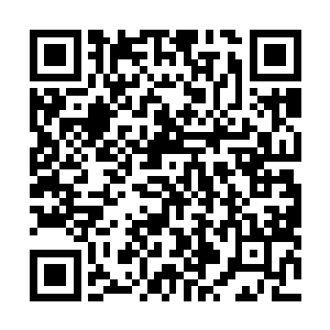 他所完成的修炼类的必修课程只有基础步法和盾牌防御术二维码生成