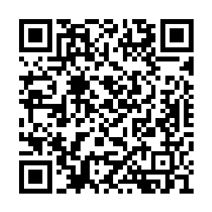 他手持着骨刺对着天葵龙的脖子就是狠狠地刺下二维码生成