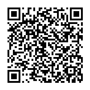 他才会在第一时间得知这紫阳丹能够把噬神蛊驱除出去便毫不犹豫的服用吧二维码生成