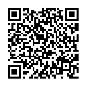他把半神骨兵的控制权当着在场众生的面交给了严默二维码生成