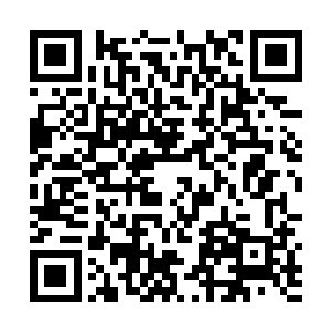 他把温振杰的所有投标书和参加这次招标工作的人名单二维码生成