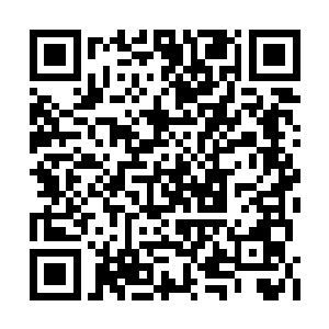 他指的是那种特殊的地理构造和一些特别的植物二维码生成