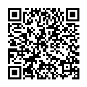 他无法想象他最在意的两个好兄弟不在了他会怎么样二维码生成