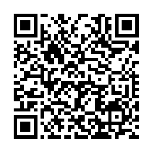 他是为了强买情人酒吧才勾结上严加林和肖克明的二维码生成