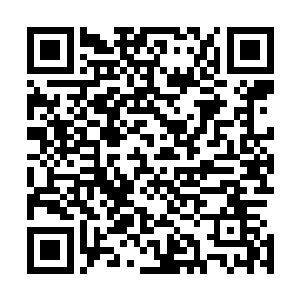 他是从哪个入口进入万煞真域的……所有关于这小子的一切二维码生成