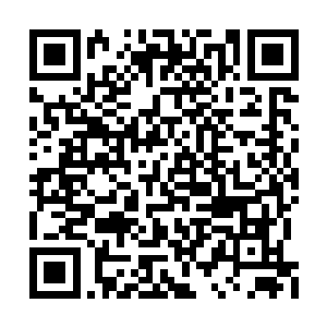 他是由无数陨落修士的怨念汇集而成的特殊生命二维码生成