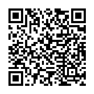 他曾经以为隔壁张寡妇已经是世界上最迷人的女人了二维码生成