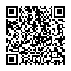 他有些怀疑自己是不是真的落入这秘境中无法脱困了二维码生成