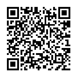 他根本就还没来得及接触认识那些大家族的公子哥二维码生成