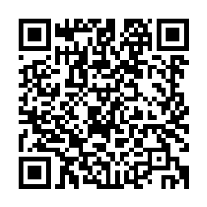 他根本没有从林锐脸上的任何细微变化之中解读出有悲伤的感觉二维码生成