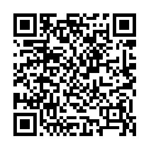 他此刻终于明白自己之前为何施展了瞳术也无法奈何对方二维码生成