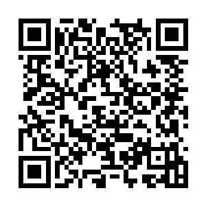 他毫不犹豫的将瓶子中的两个黑色药丸吃尽了口中二维码生成