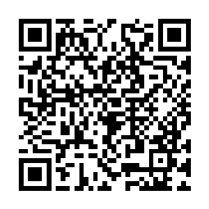 他没有从他的眼神中发现畏惧或者害怕这样的东西二维码生成