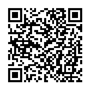 他没有接到……陆景乔脑海里飞快地闪现昨天发生的一切二维码生成