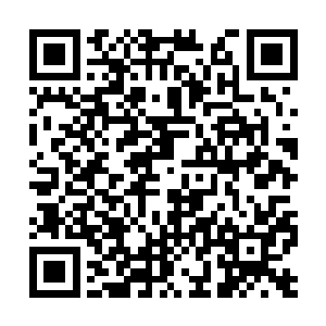 他没有直接抓着这个小丫头的肩膀就已经够仁慈了二维码生成